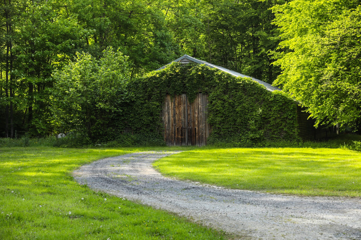 Une randonnée équestre au coeur de la grande forêt de St Hubert ? Partez à cheval en itinérance dans les bois de l'Ardenne.