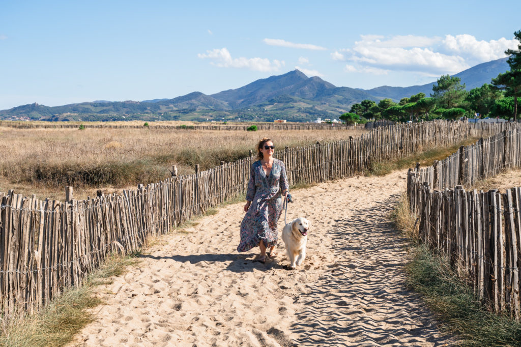 Visiter Argelès en automne avec mon chien : randonnées, plage, activités nautiques et à la montagne, bonnes adresses