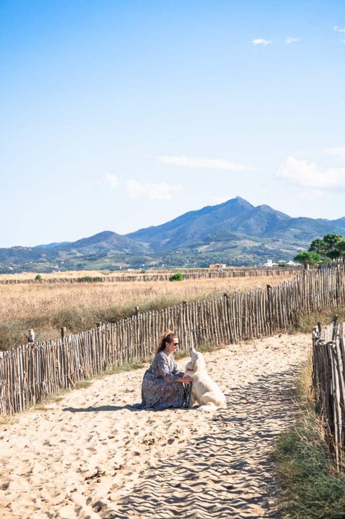 Visiter Argelès en automne avec mon chien : randonnées, plage, activités nautiques et à la montagne, bonnes adresses
