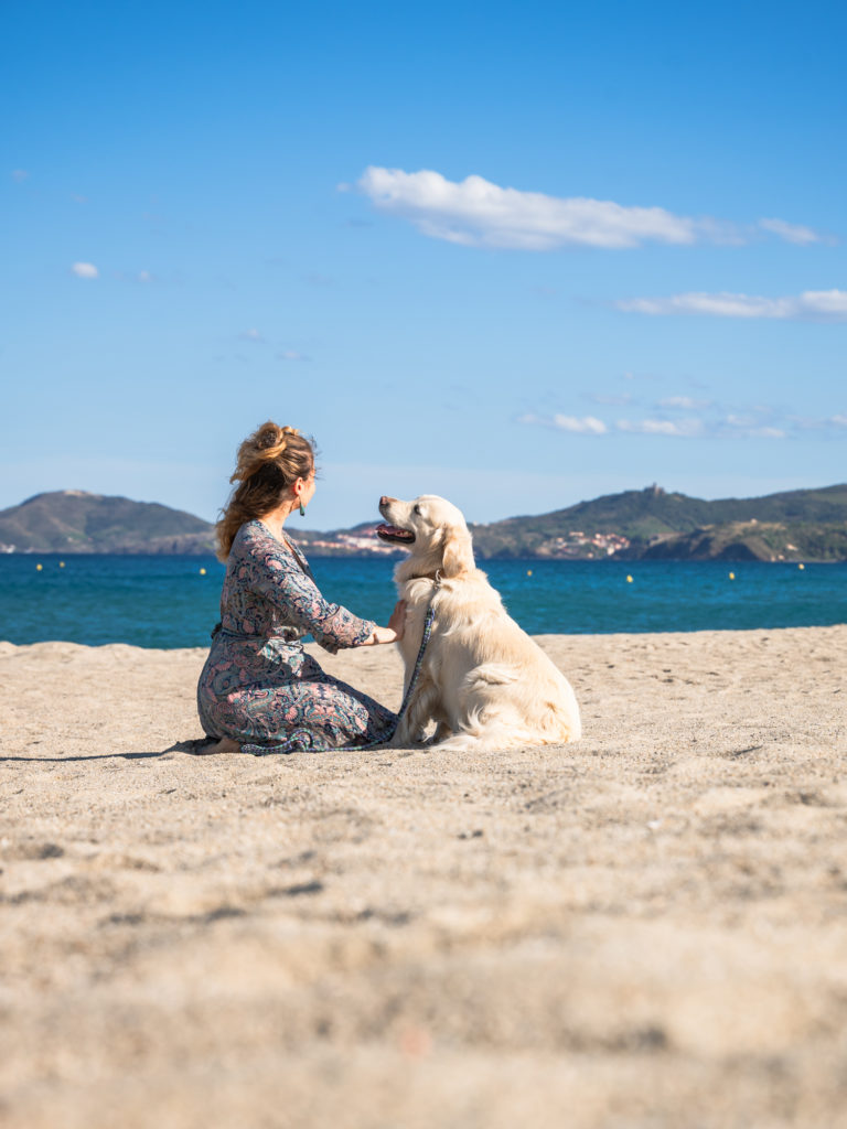 Visiter Argelès en automne avec mon chien : randonnées, plage, activités nautiques et à la montagne, bonnes adresses