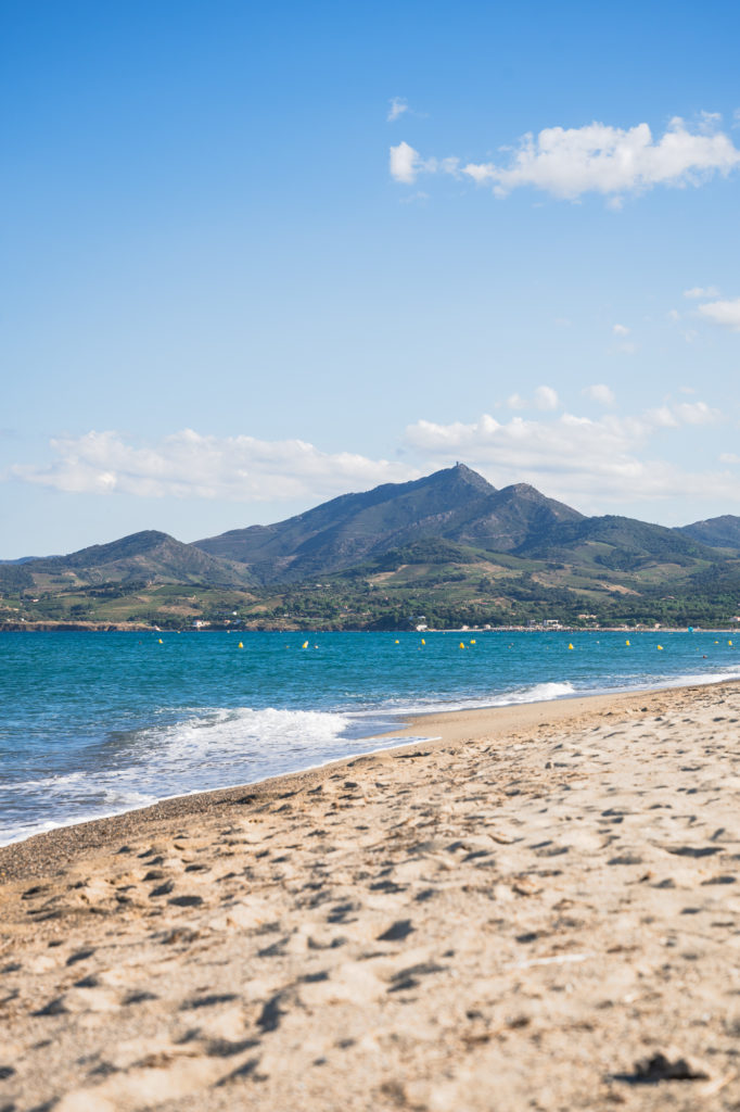 Visiter Argelès en automne avec mon chien : randonnées, plage, activités nautiques et à la montagne, bonnes adresses