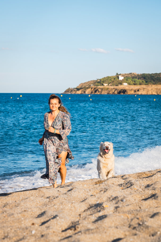 voyager à argelès avec son chien : plages autorisées aux chiens
