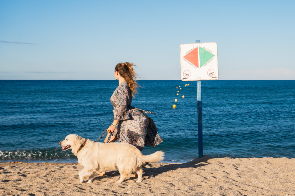 voyager à argelès avec son chien : plages autorisées aux chiens