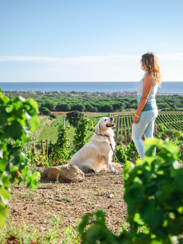 voyager à argelès : randonnées en pleine nature avec mon chien