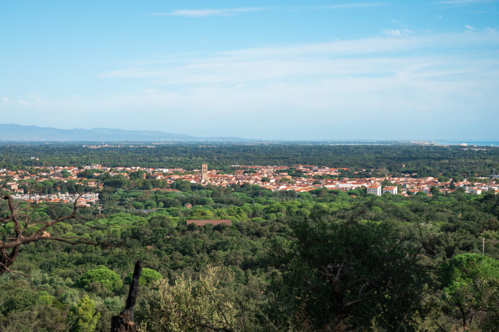 voyager à argelès : randonnées en pleine nature avec mon chien