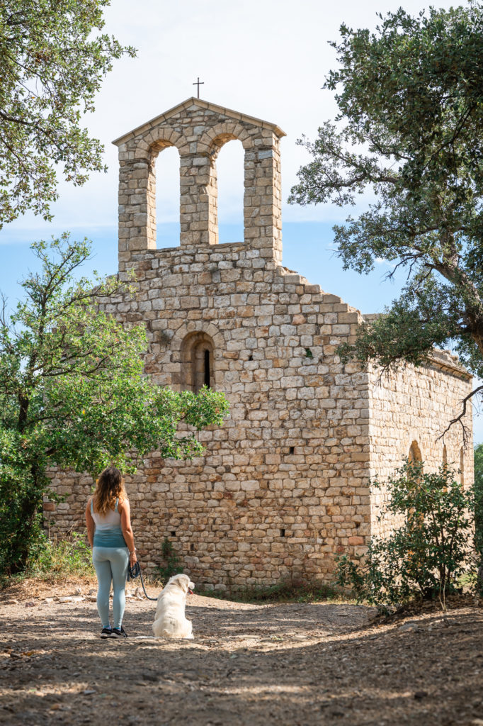 voyager à argelès : randonnées en pleine nature avec mon chien