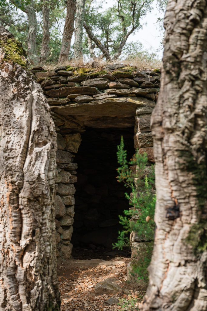 voyager à argelès : randonnées en pleine nature avec mon chien