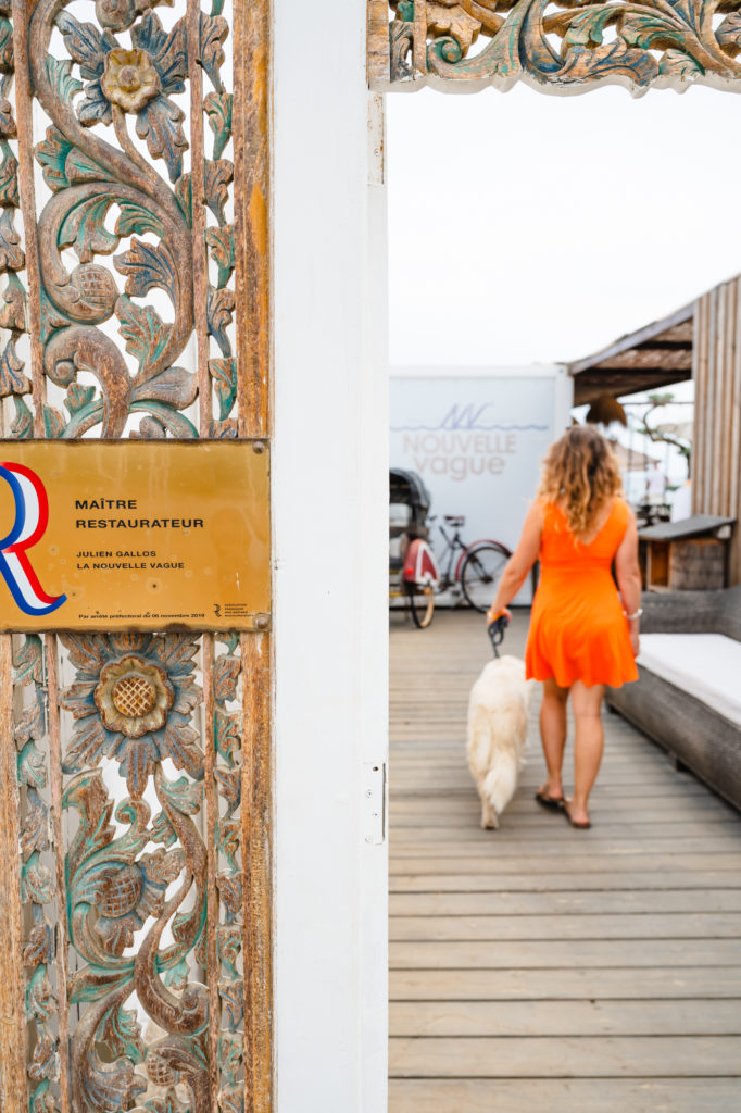bonnes adresses à découvrir avec mon chien à argelès sur mer