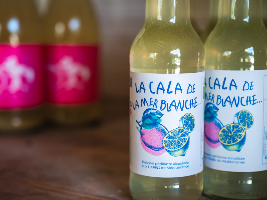 bonnes adresses à découvrir avec mon chien à argelès sur mer