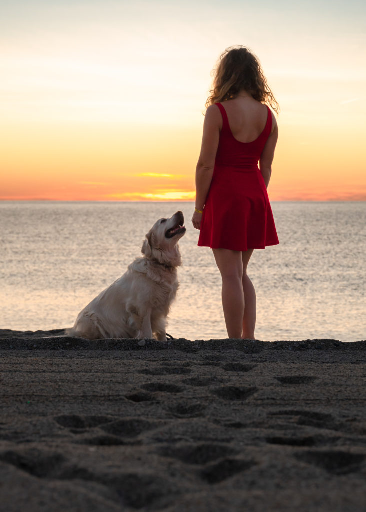 Visiter Argelès en automne avec mon chien : randonnées, plage, activités nautiques et à la montagne, bonnes adresses