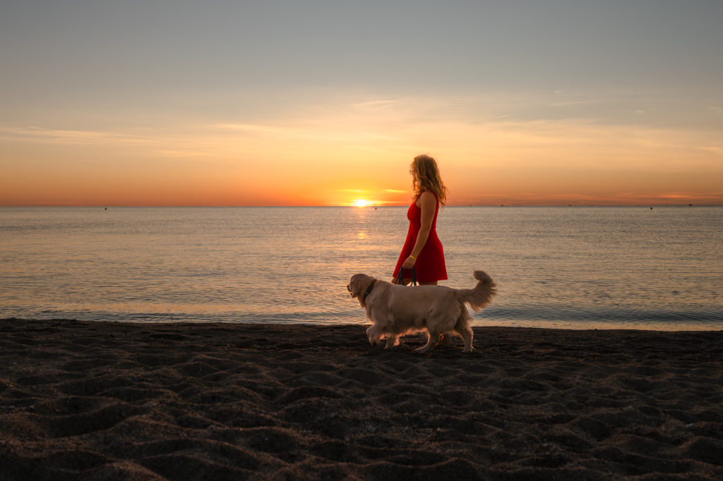 bonnes adresses à découvrir avec mon chien à argelès sur mer
