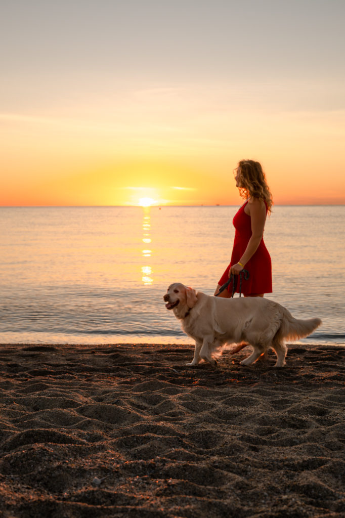 Visiter Argelès en automne avec mon chien : randonnées, plage, activités nautiques et à la montagne, bonnes adresses
