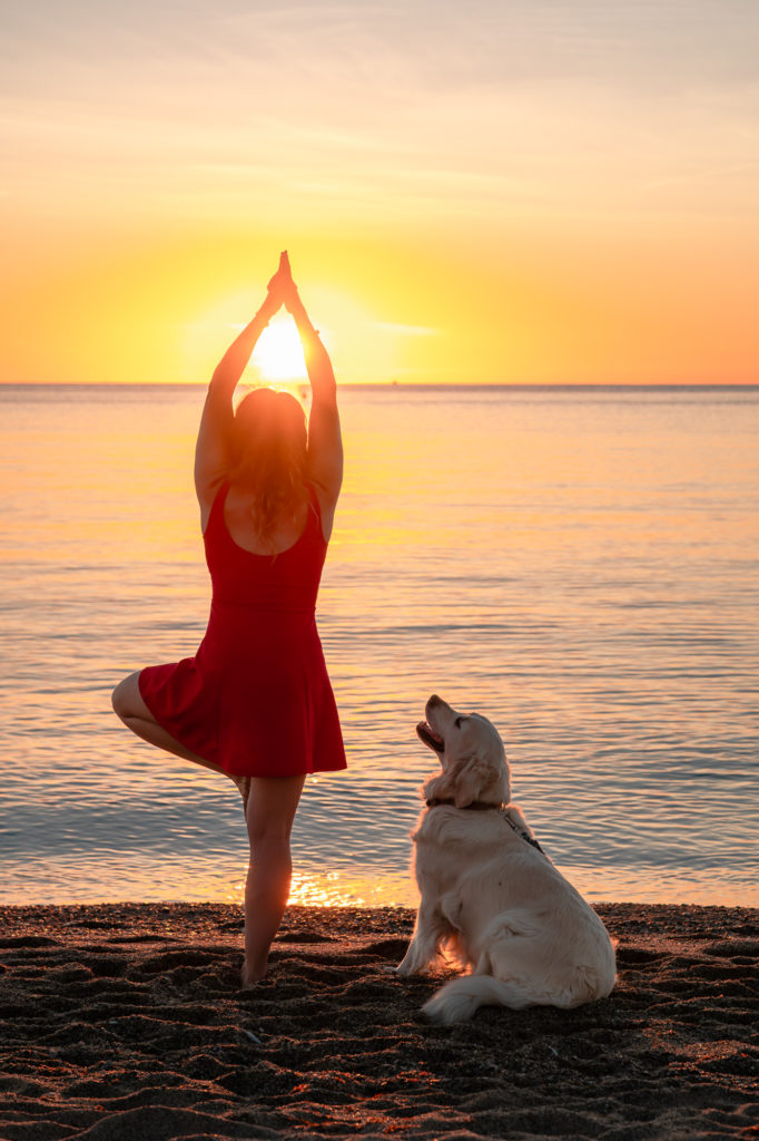 Visiter Argelès en automne avec mon chien : randonnées, plage, activités nautiques et à la montagne, bonnes adresses