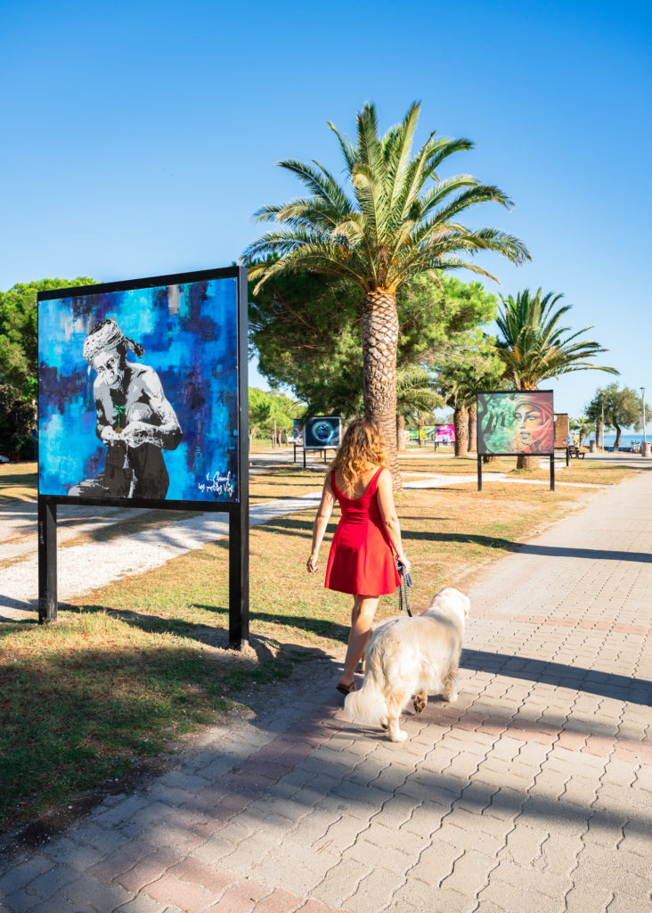 voyager à argelès avec mon chien 