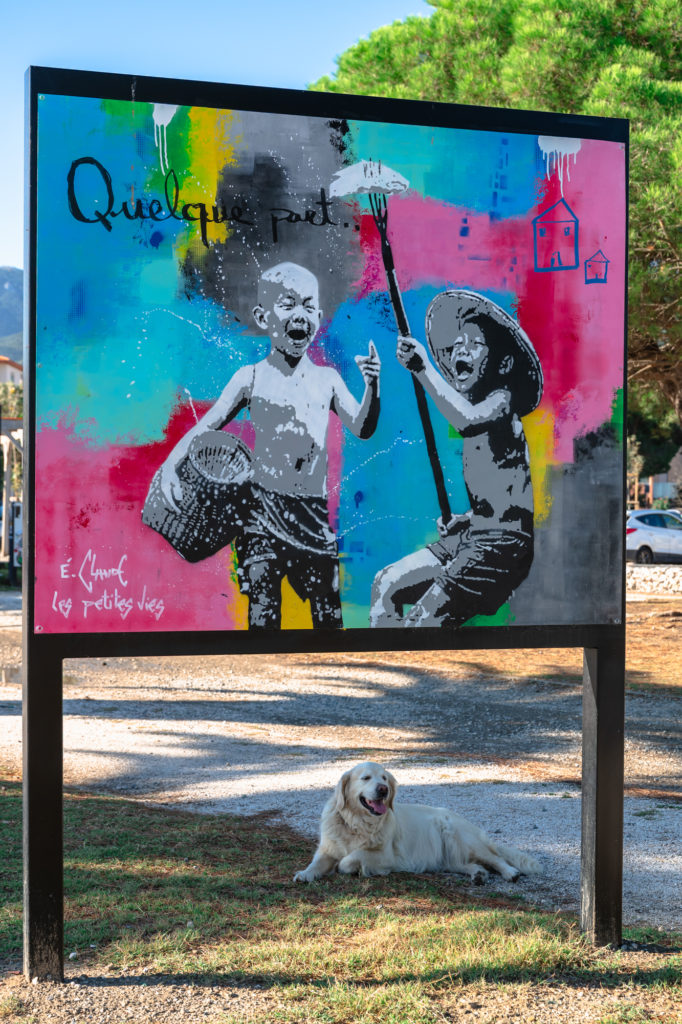 voyager à argelès avec mon chien 