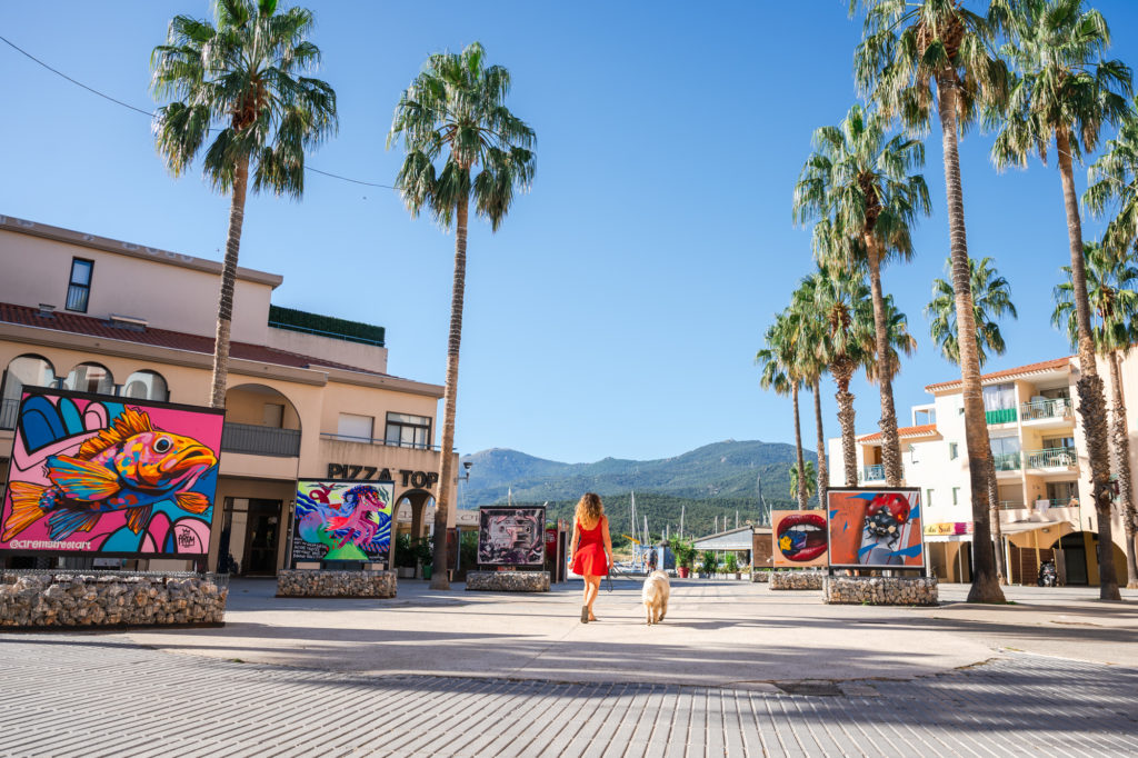 Visiter Argelès en automne avec mon chien : randonnées, plage, activités nautiques et à la montagne, bonnes adresses