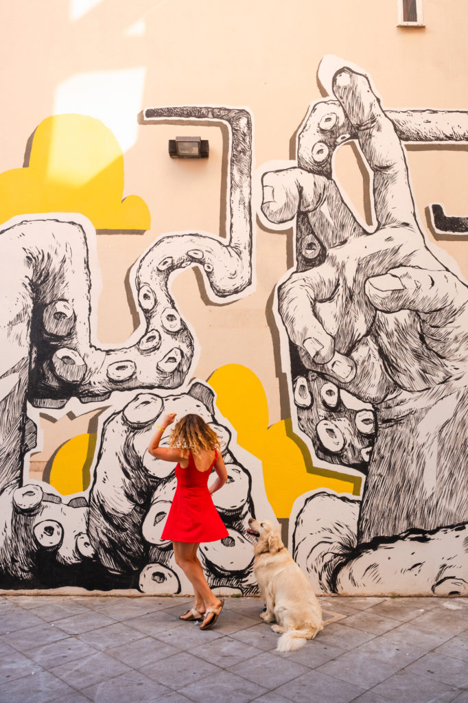 voyager à argelès avec mon chien 