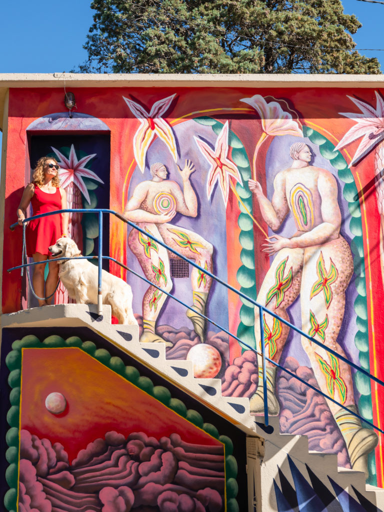 voyager à argelès avec mon chien 