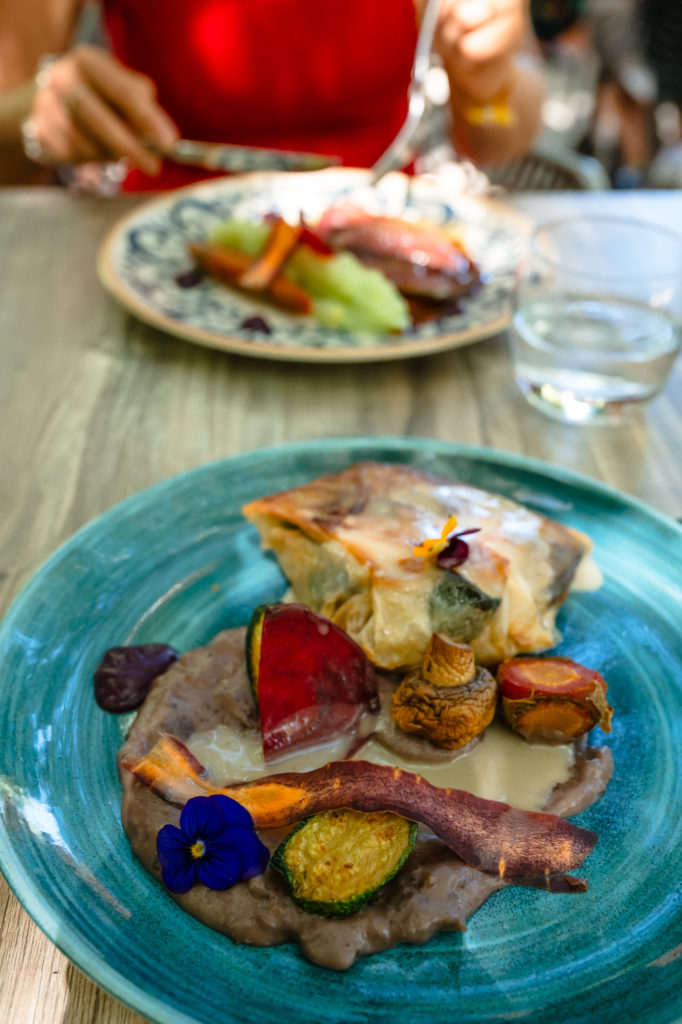 bonnes adresses à découvrir avec mon chien à argelès sur mer