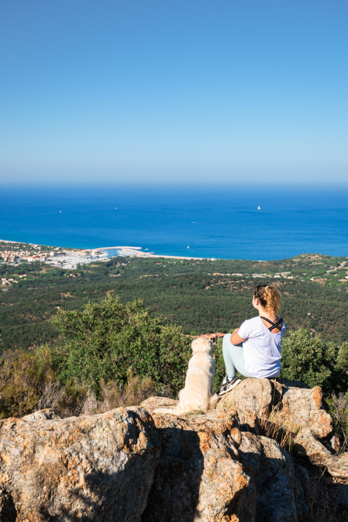 voyager à argelès : randonnées en pleine nature avec mon chien