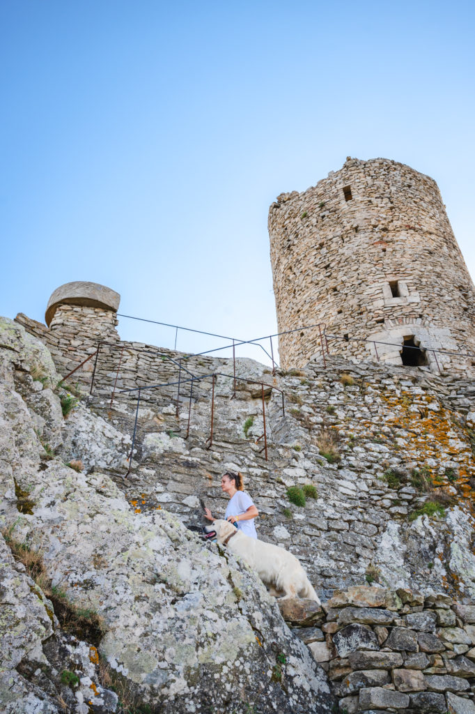 voyager à argelès : randonnées en pleine nature avec mon chien