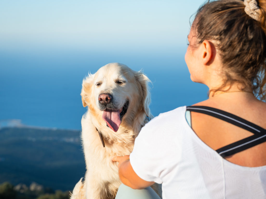 voyager à argelès : randonnées en pleine nature avec mon chien