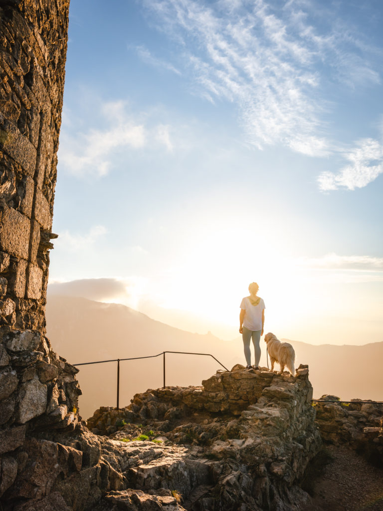 voyager à argelès : randonnées en pleine nature avec mon chien