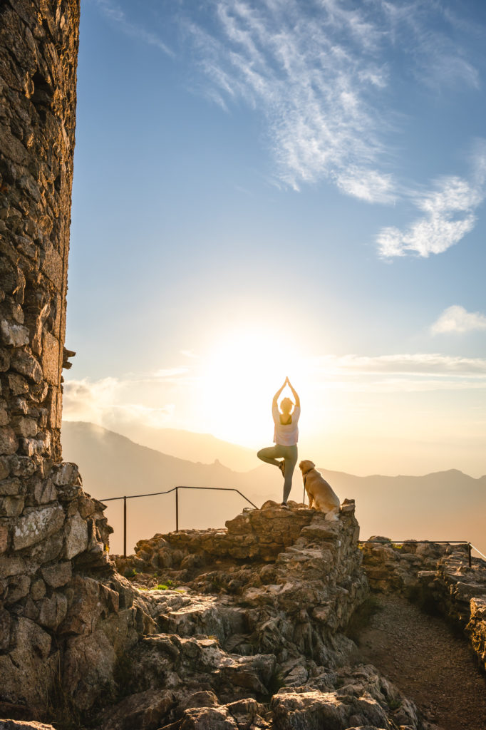 voyager à argelès : randonnées en pleine nature avec mon chien