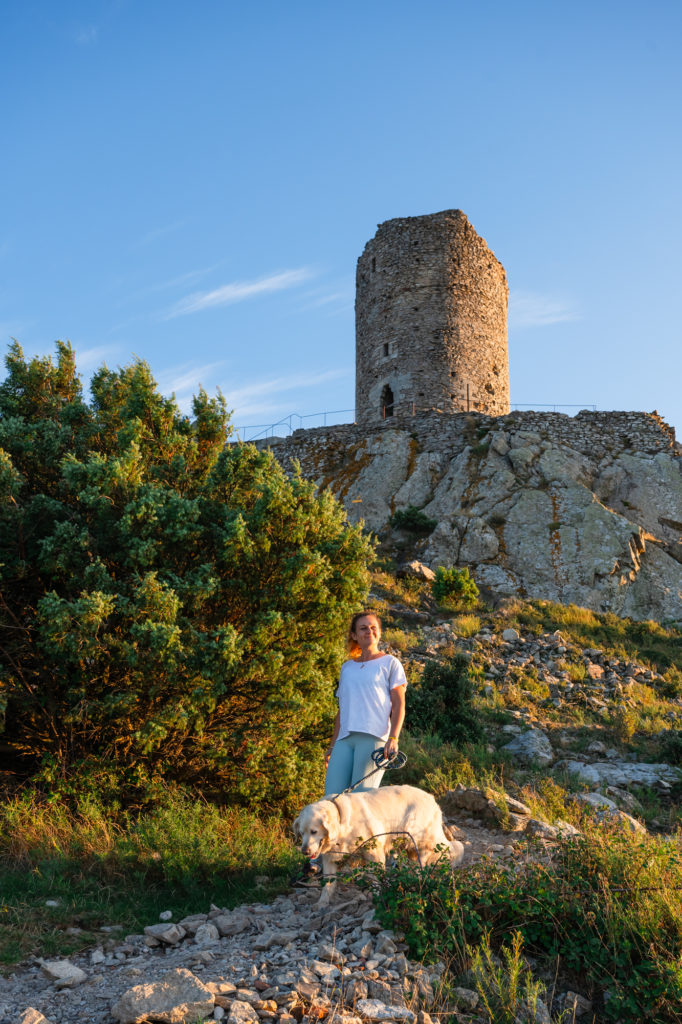 voyager à argelès : randonnées en pleine nature avec mon chien