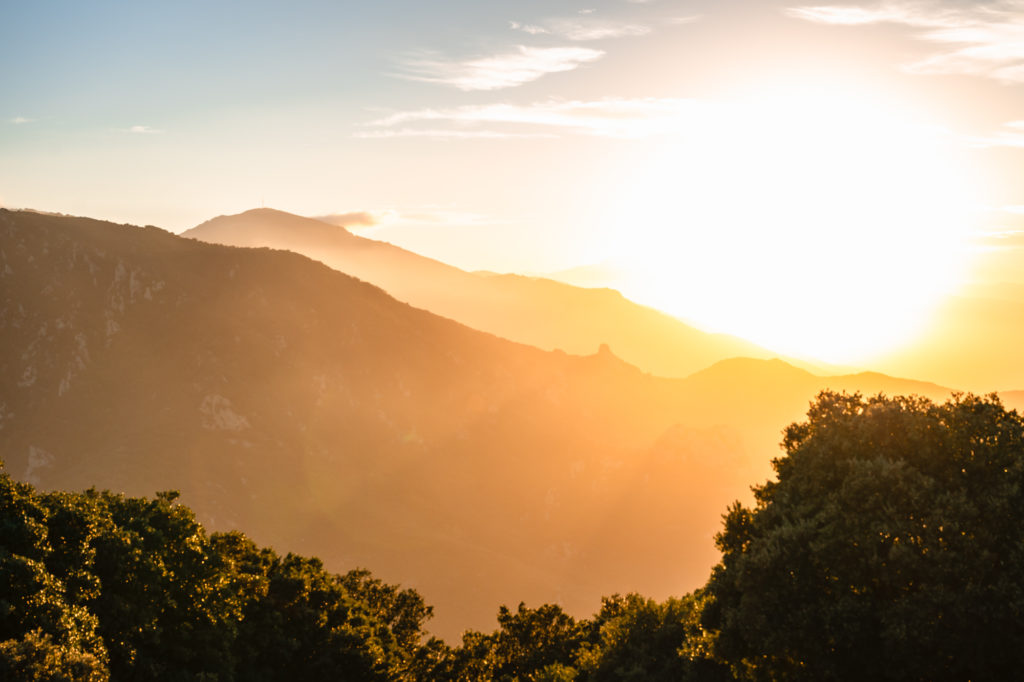 voyager à argelès : randonnées en pleine nature avec mon chien