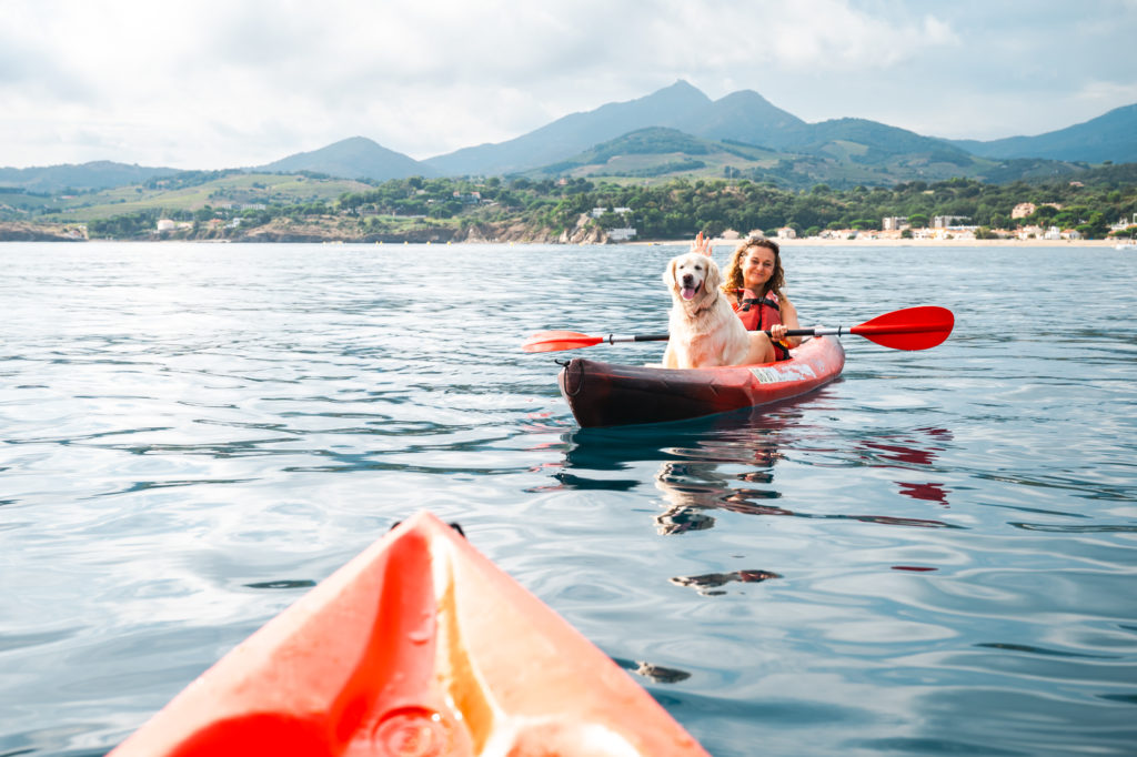 voyager à argelès avec son chien : kayak avec mon chien