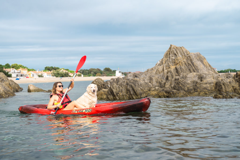 voyager à argelès avec son chien : kayak avec mon chien