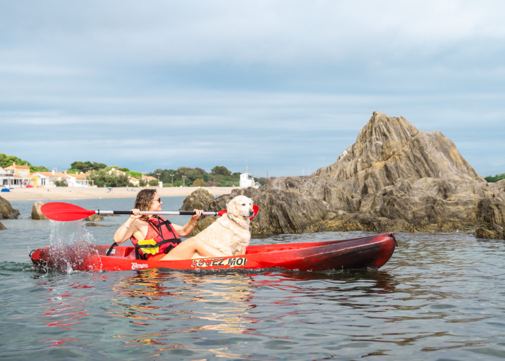 Visiter Argelès en automne avec mon chien : randonnées, plage, activités nautiques et à la montagne, bonnes adresses