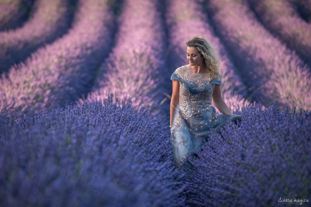 Weniger bekannte, geheime Lavendelfelder in der Provence