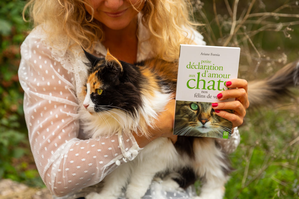 Petite déclaration d'amour aux chats, un essai passionné sur les chats par Ariane Fornia. Un livre à offrir aux amoureux des chats