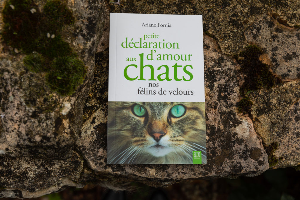 Petite déclaration d'amour aux chats, un essai passionné sur les chats par Ariane Fornia. Un livre à offrir aux amoureux des chats