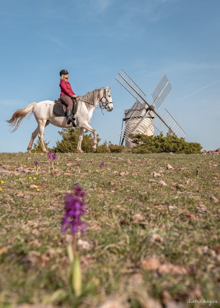 Vacances dans le sud de l'Aveyron : le rougier de Camarès, le Larzac, le Vaxergues, du parapente à Millau, les villages templiers du Larzac... Que voir, que faire en Aveyron?