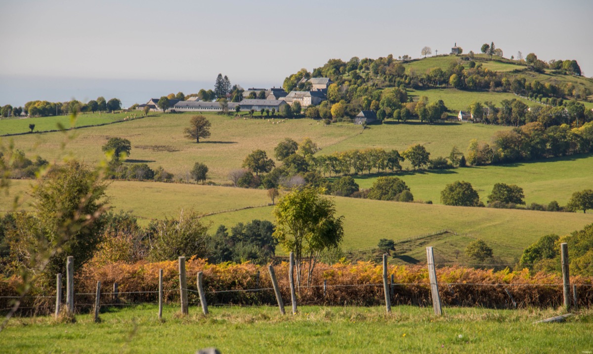 Que voir et que faire sur l'Aubrac ? Activités et choses à voir à Laguiole et Brameloup, brame du cerf, burons, fromages. Blog Aubrac, nord Aveyron