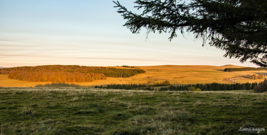 Que voir et que faire sur l'Aubrac ? Activités et choses à voir à Laguiole et Brameloup, brame du cerf, burons, fromages. Blog Aubrac, nord Aveyron