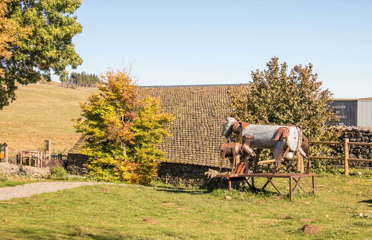 Que voir et que faire sur l'Aubrac ? Activités et choses à voir à Laguiole et Brameloup, brame du cerf, burons, fromages. Blog Aubrac, nord Aveyron