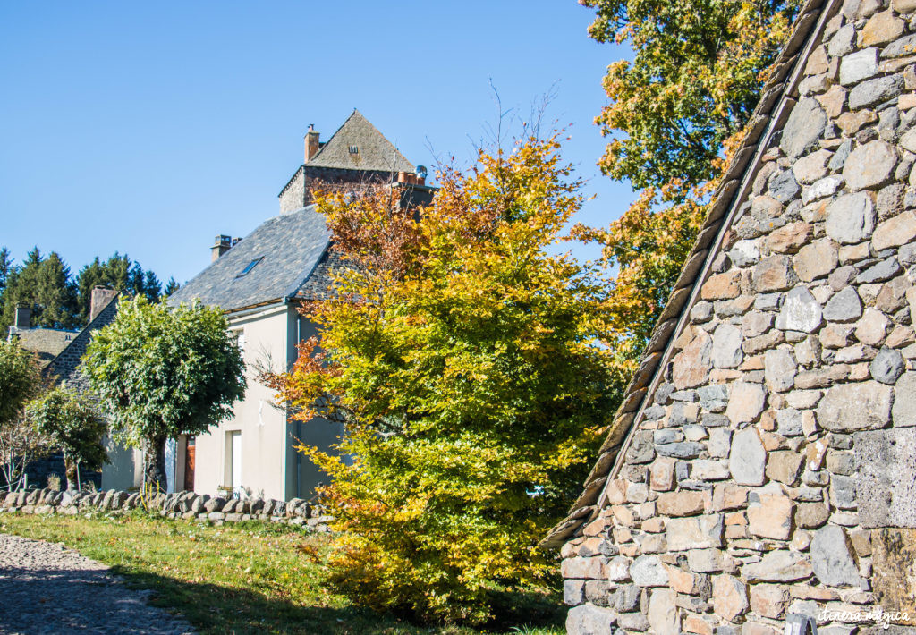 Que voir et que faire sur l'Aubrac ? Activités et choses à voir à Laguiole et Brameloup, brame du cerf, burons, fromages. Blog Aubrac, nord Aveyron