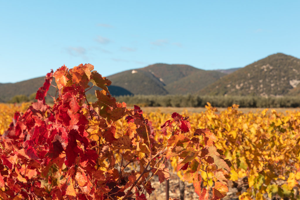 automne dans les baronnies