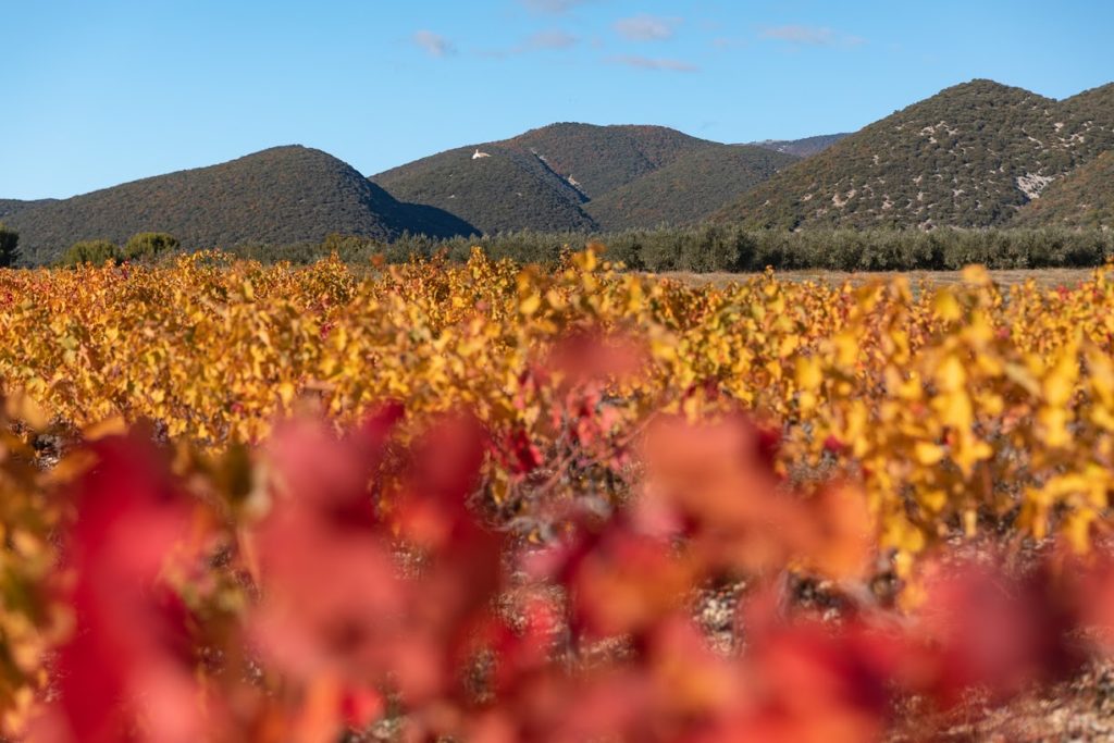 Les Baronnies provençales: plus belles randonnées, villages, activités de pleine nature et lavandes de la Drôme.