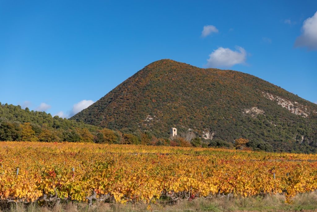 agriculture produits locaux drome baronnies provençales. Agriculteurs des Baronnies provençales. Oliviers, abricots, produits locaux