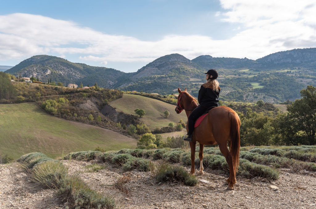 randonnée équestre dans les baronnies provençales drôme