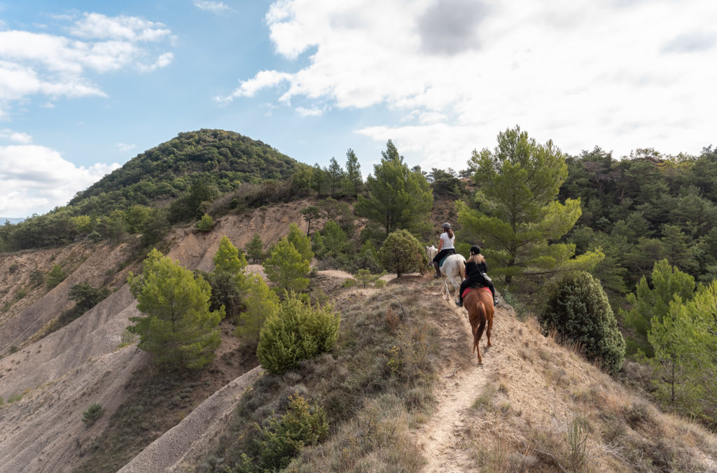 randonnée équestre dans les baronnies provençales drôme