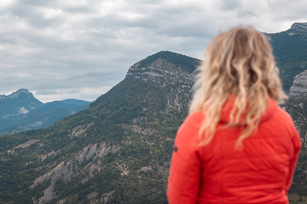 les vautours des baronnies provençales