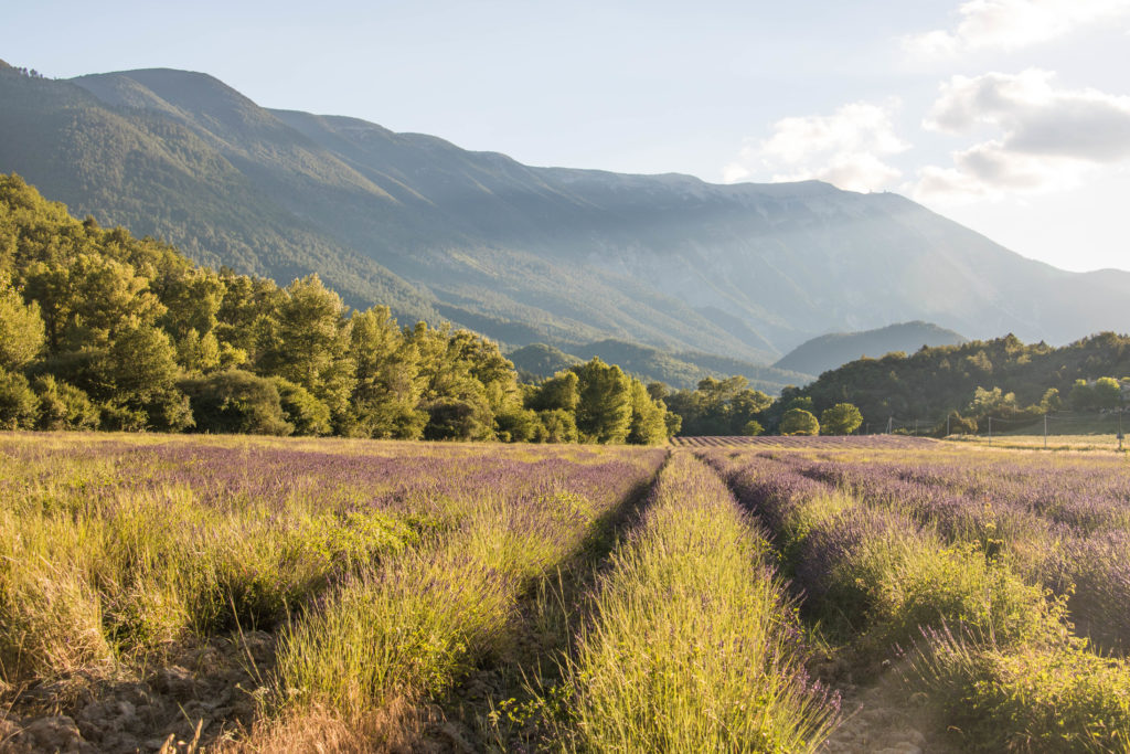Un séjour en Haute Provence authentique : le village des Lavandes à Montbrun-les-Bains, le secret le mieux gardé de la Drôme provençale, entre lavandes et Ventoux.