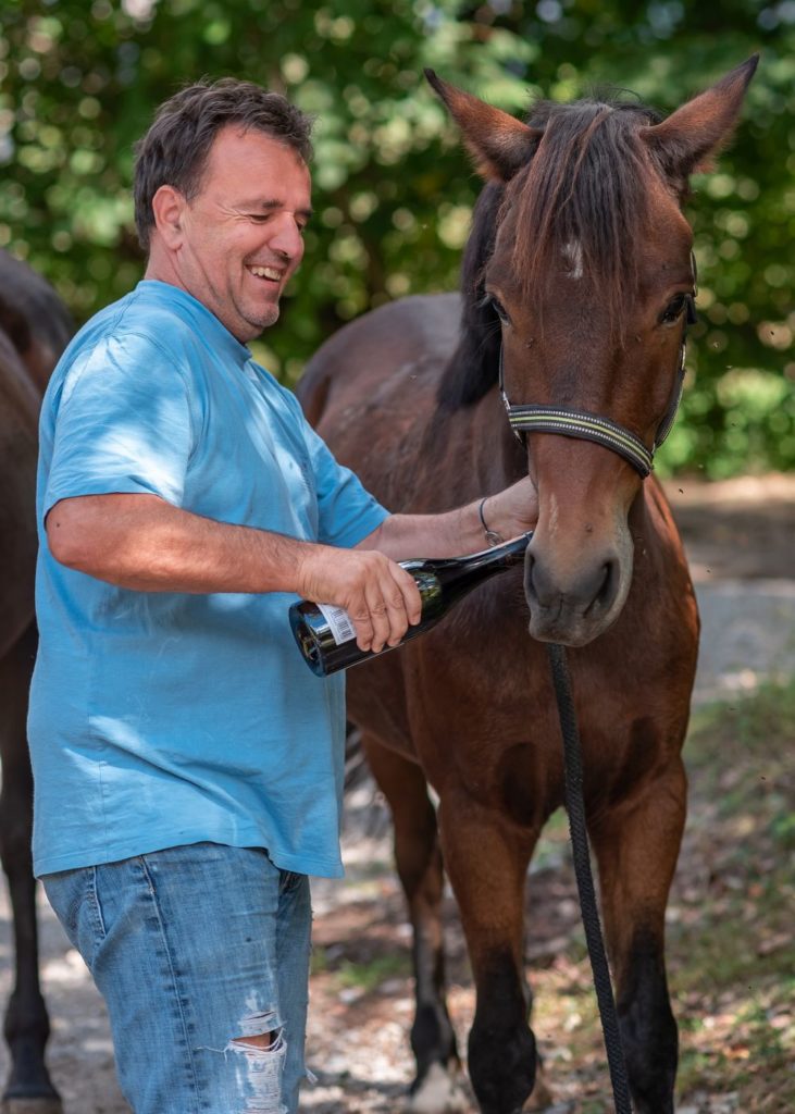 Les Alpes de Haute Provence à cheval : 3 jours de randonnée équestre dans la région de Digne-les-Bains, au coeur des Alpes du Sud