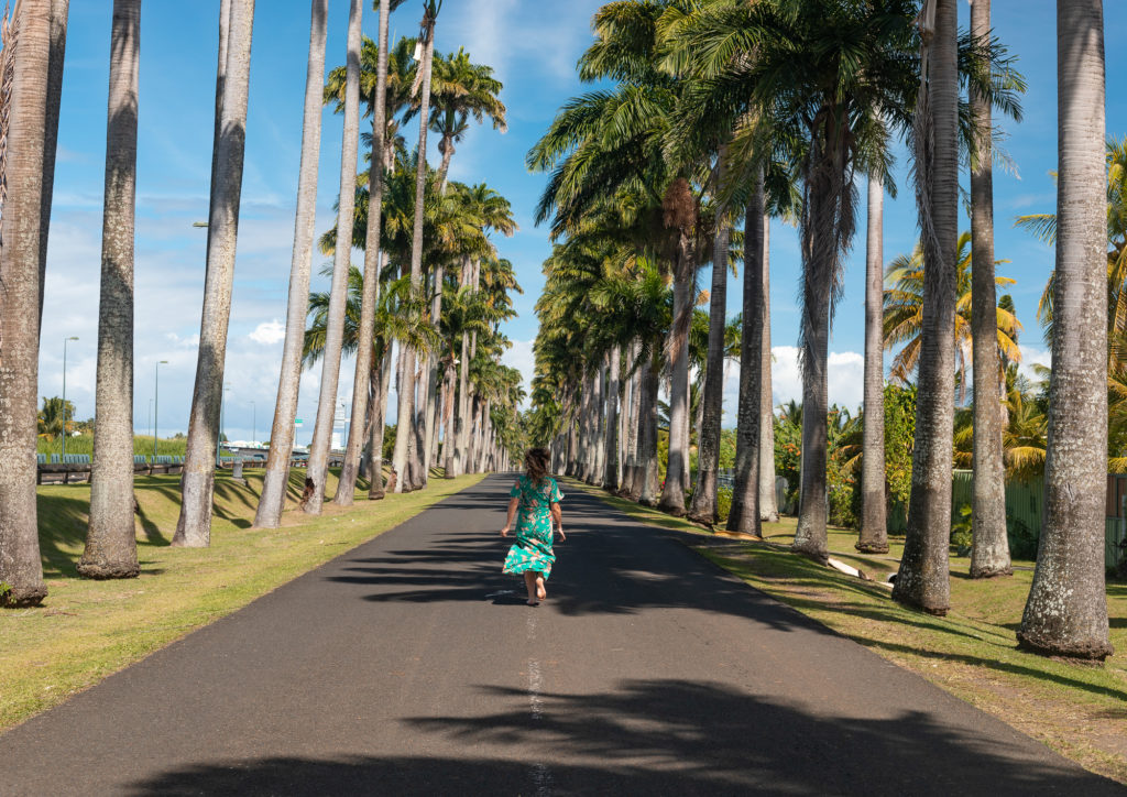 Que voir en Guadeloupe ? Road trip en Guadeloupe : mes incontournables